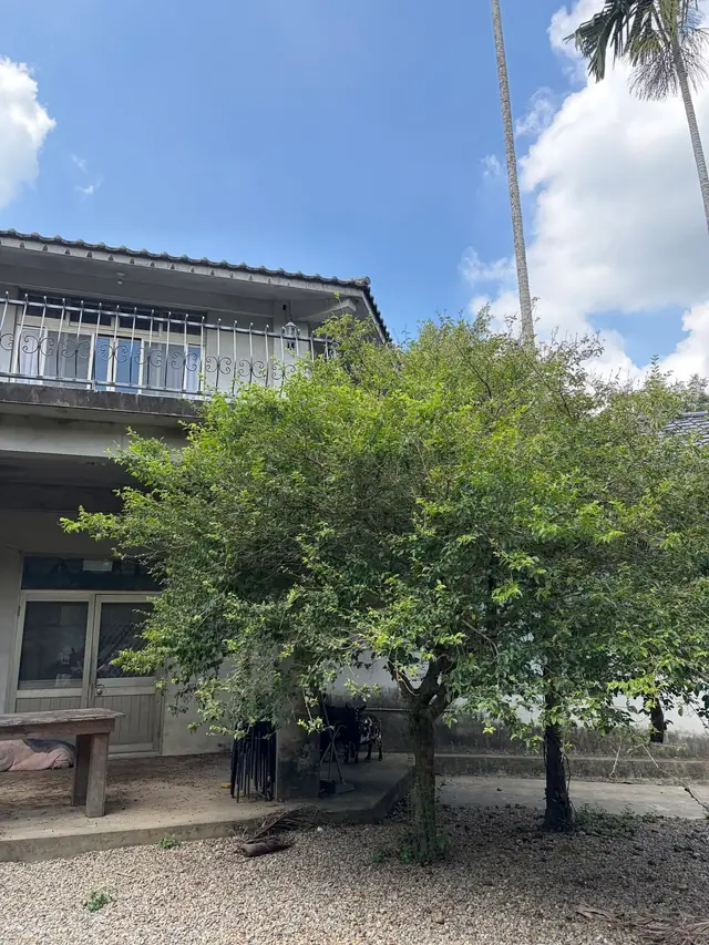 拇指園綠意庭園,作為園區散步紀錄配圖
